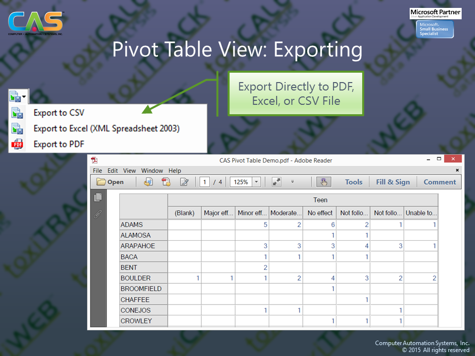 Computer Automation Systems, Inc.